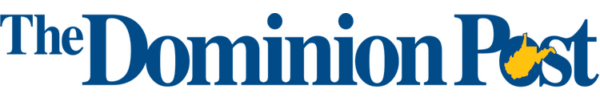 website logo
